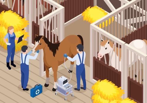 Veterinary assistance