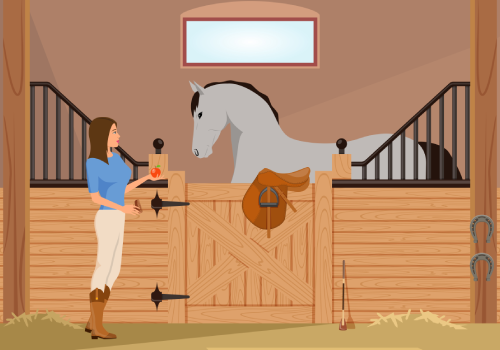 Boarding horses in our farm