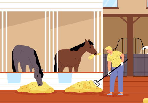 Stallion service and accommodation for mares