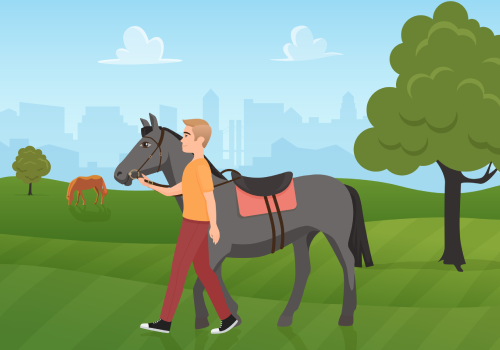 Consultation for Importing good pedigree horses