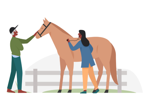 Horses for Leasing 